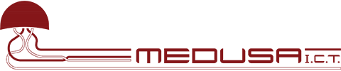 Logo Medusa ICT